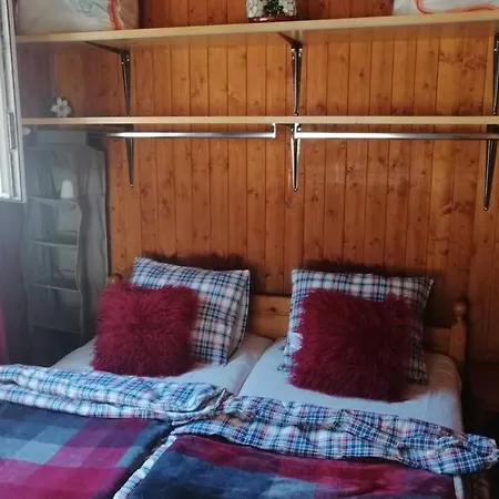 Petit Chalet Familliale * Leytron